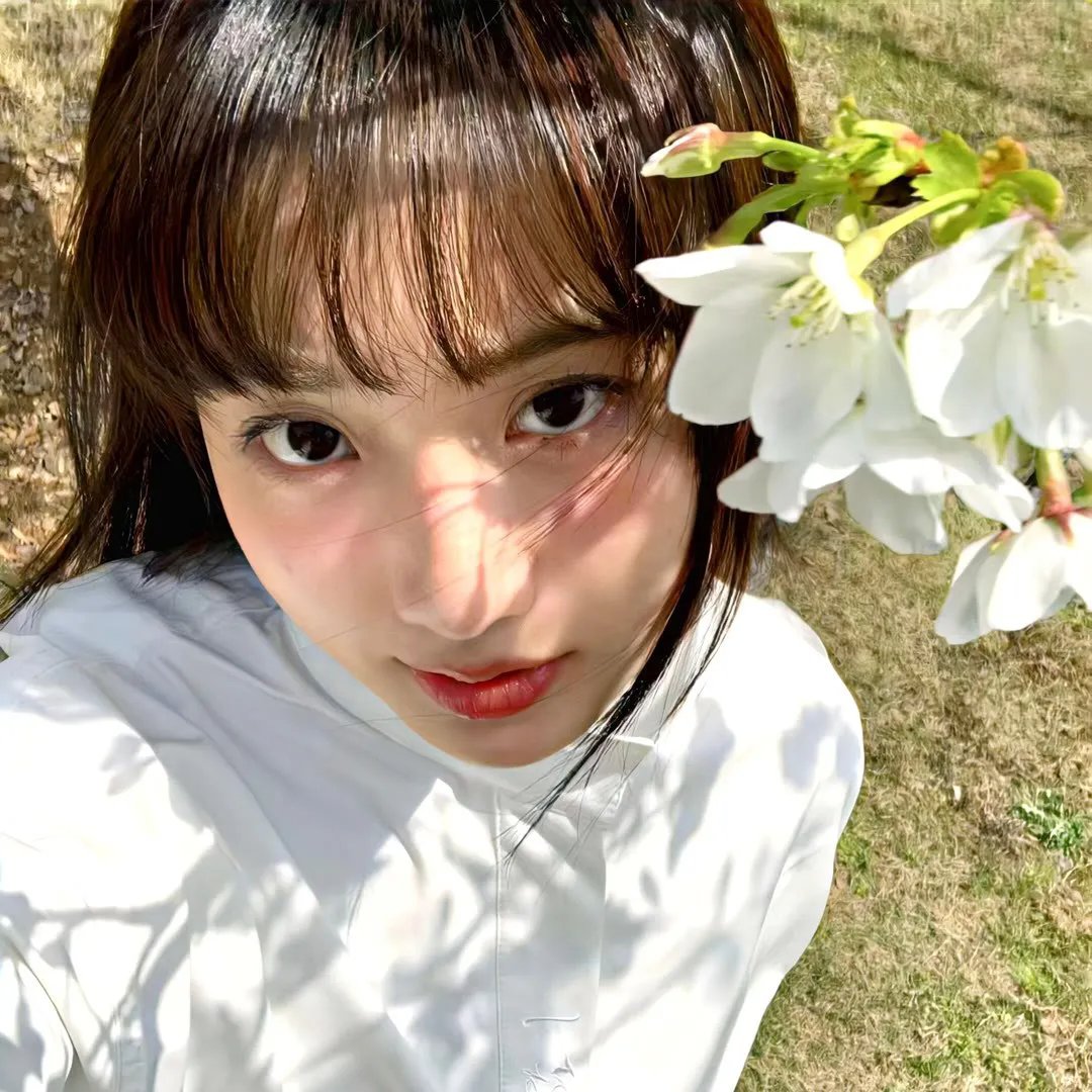 宠物粉红鹅卵石